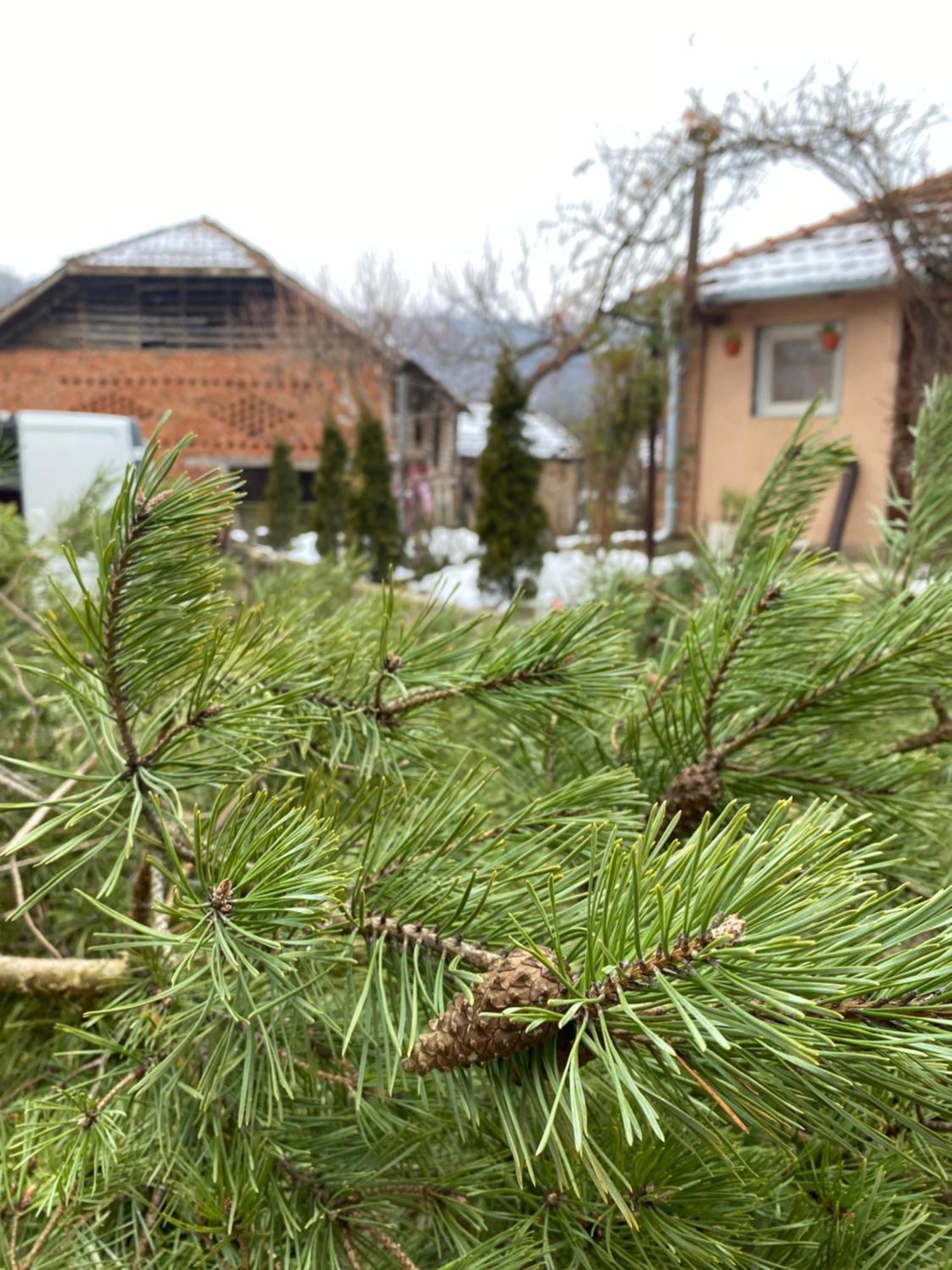 Homestay Seosko Turisticko Domacinstvo Stanisic